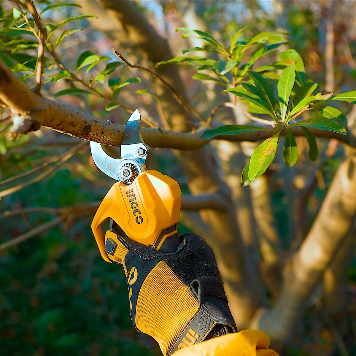 Ψαλίδι κλαδέματος μπαταρίας 20V Li-Ion brushless με βαλίτσα και αξεσουάρ